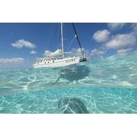 cayman islands stingray city luxury sailing and swimming tour