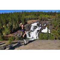 Cameron Falls Hiking Tour from Yellowknife