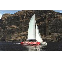 Catamaran Cruise with Transfers in Tenerife