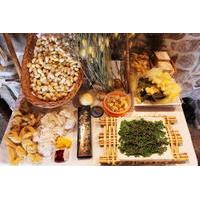 Cavtat and Konavle: the Cradle of Sericulture Private Tour from Dubrovnik