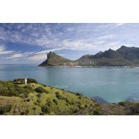 Cape Town Super Saver: Cape Point Highlights Tour plus Wine Tasting in Stellenbosch