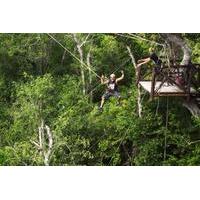 Cancun Adventure Tour at Selvatica: Zipline, Aerial Bridge, Buggy, Bungee Swing and Cenote Swim