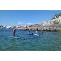 cascais stand up paddleboard lesson and cruise