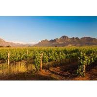 Cape Town Shore Excursion: Winelands Tour