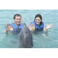 cancun dolphin swim adventure on isla mujeres