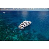 Cairns Super Saver: Great Barrier Reef Cruise plus Kuranda Scenic Railway plus Cape Tribulation Day Trip