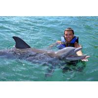 Cancun Dolphin Encounter Program on Isla Mujeres