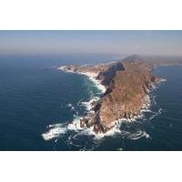 Cape Town Shore Excursion: Cape Point Tour