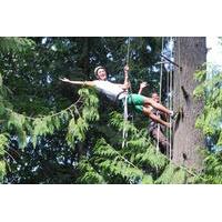 Canopy Tree Climbing on Bainbridge Island