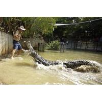 Cairns Shore Excursion: Hartley\'s Crocodile Adventure Day Trip
