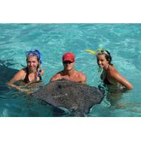 Cayman Islands Breakfast and Snorkel Cruise to Stingray City