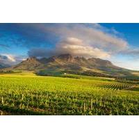 Cape Winelands Tour from Cape Town