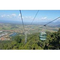 Cairns Shore Excursion: Kuranda Scenic Railway and Skyrail Rainforest Cableway Experience