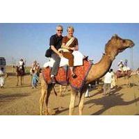 Camel Safari Day Tour in Jodhpur