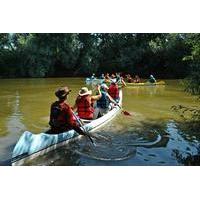 Canoeing Day Trip from Targu Mures