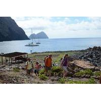 Catamaran Day Cruise to Desertas Islands from Funchal