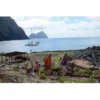 catamaran day cruise to desertas islands from funchal