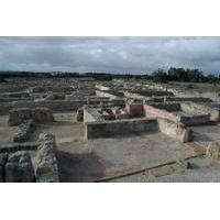 Cap Bon Guided Day Tour from Tunis