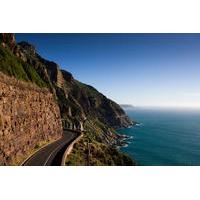 Cape Peninsula Guided Private Day Trip from Cape Town