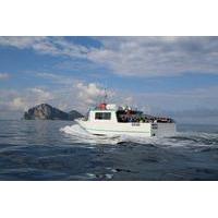 Capri Swim and Fun Half-day Boat Tour from Sorrento