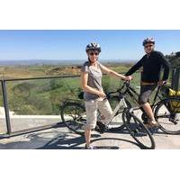 Carmona to Seville Bike Tour