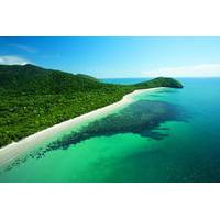 cape tribulation mossman gorge and daintree rainforest day trip from c ...