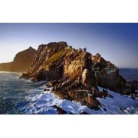Cape Point and Peninsula Private Tour from Cape Town