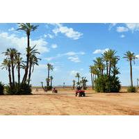 Camel and Quad Biking Tour from Marrakech