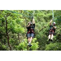 canyon canopy adventure from los cabos