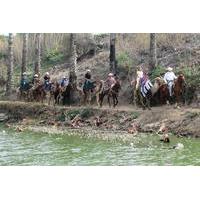 Camel Ride Tour in Rosarito