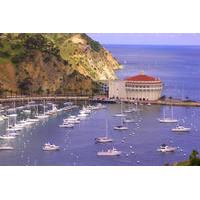 Catalina Island Day Excursion