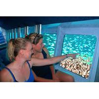 cayman islands submarine tour plus turtle encounter