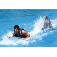 Canopy Express and Dolphin Swim Adventure Combo Tour