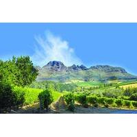 Cape Winelands Guided Day Tour from Cape Town