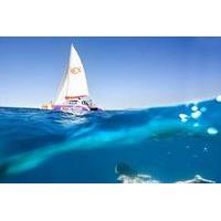 catamaran sailing in palma bay with transfers and paella lunch