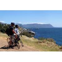 Cape Peninsula Guided Road Bike Day Tour from Cape Town