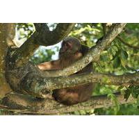 Catemaco and Los Tuxtlas Natural Adventure Day Trip