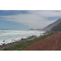 Cape Peninsula Private Day Tour