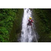 Canyoning, Hanging Trees and Ziplining Tour from La Fortuna