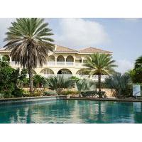 Caribbean Dutch Masters