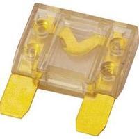 Car audio maxi blade-type fuse 8...