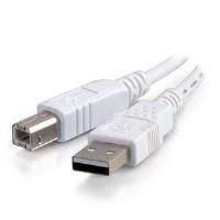 Cables To Go 2m USB 2.0 A/B Cable (White)