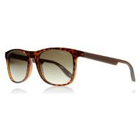 Carrera 5025S Sunglasses Havana 702