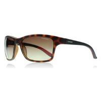 carrera 8013s sunglasses havana matte black 6xv polariserade