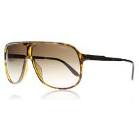 carrera new safari sunglasses havana kme