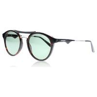 carrera 6008 sunglasses havana 100