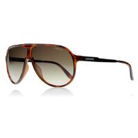 carrera new champion sunglasses dark havana 8f8