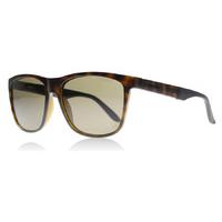 Carrera 8022S Sunglasses Havana DWJ Polariserade 56mm