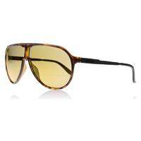 Carrera New Champion Sunglasses Havana L2LCT