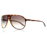 carrera 6015s sunglasses tortoise dwjha